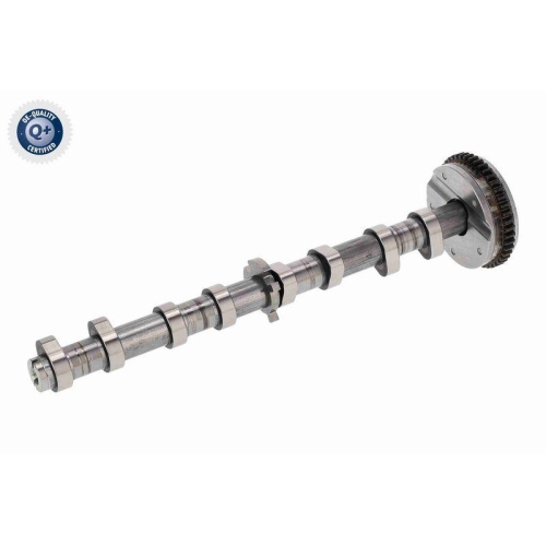 Nockenwellenversteller VAICO V10-5585 Q+, Erstausr&uuml;sterqualit&auml;t f&uuml;r AUDI SEAT VW