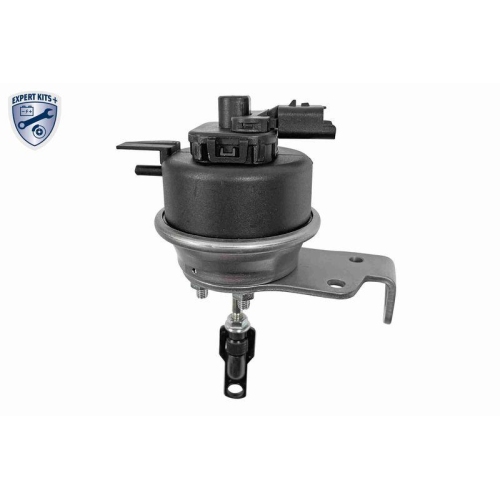 Steuerdose, Lader VEMO V42-40-0002 EXPERT KITS + f&uuml;r FORD OPEL PEUGEOT