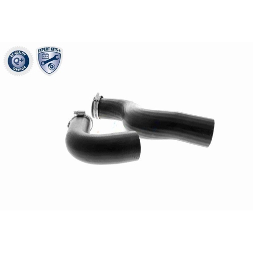 Ladeluftschlauch VAICO V46-0829 EXPERT KITS + f&uuml;r RENAULT