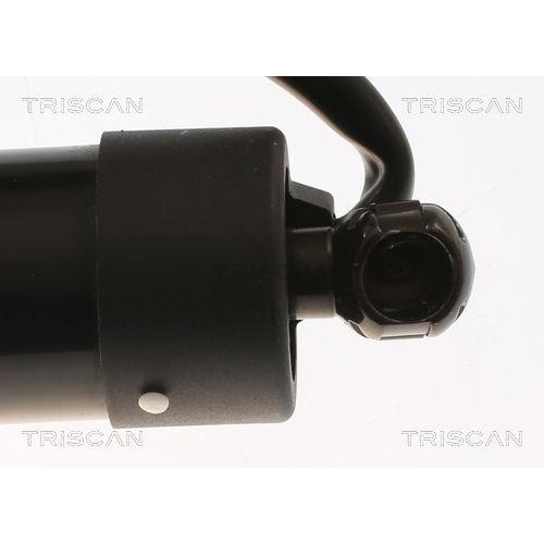 Gasfeder, Koffer-/Laderaum TRISCAN 8710 16302 für FORD, hinten rechts
