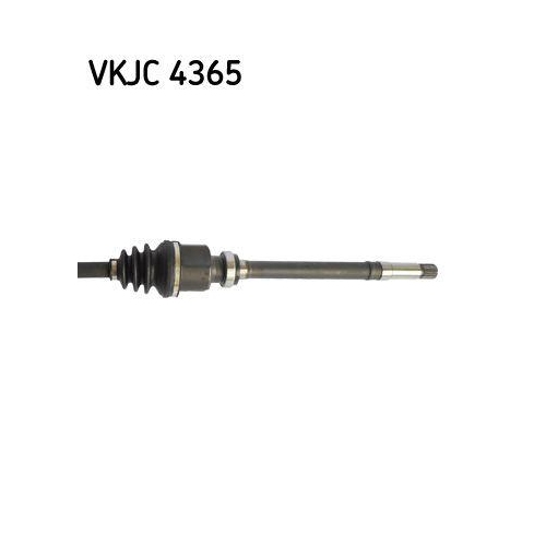 Antriebswelle SKF VKJC 4365 f&uuml;r PEUGEOT, Vorderachse rechts