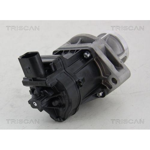 AGR-Ventil TRISCAN 8813 10214 f&uuml;r CHRYSLER FIAT