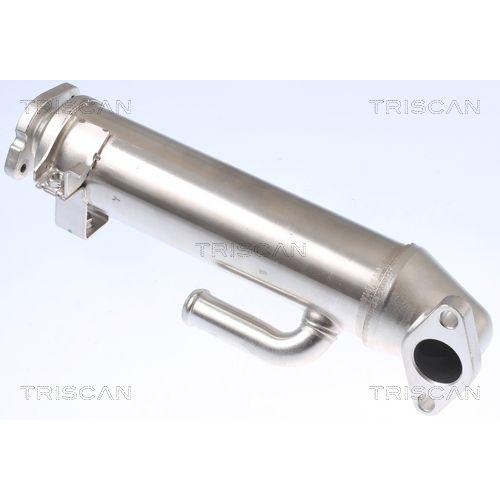 K&uuml;hler, Abgasr&uuml;ckf&uuml;hrung TRISCAN 8813 16107 f&uuml;r FORD