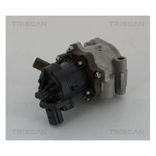 AGR-Ventil TRISCAN 8813 15208 f&uuml;r FIAT