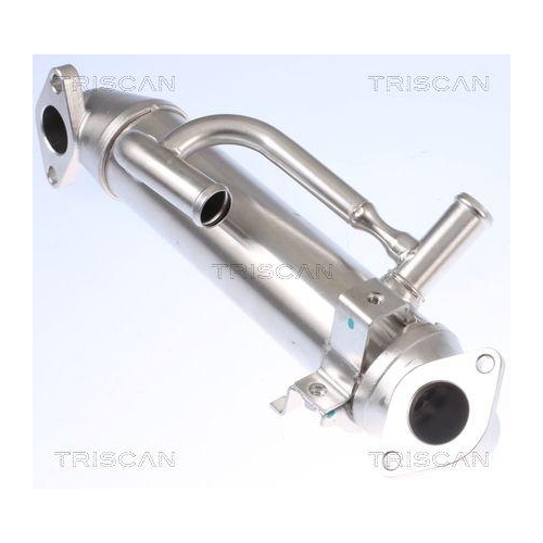 K&uuml;hler, Abgasr&uuml;ckf&uuml;hrung TRISCAN 8813 16108 f&uuml;r FORD