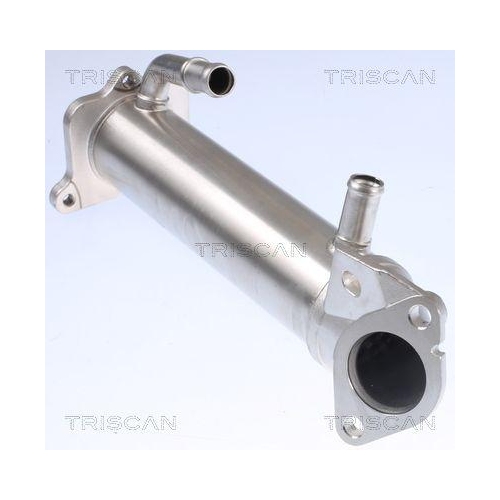 K&uuml;hler, Abgasr&uuml;ckf&uuml;hrung TRISCAN 8813 16109 f&uuml;r FORD HITACHI FORD USA