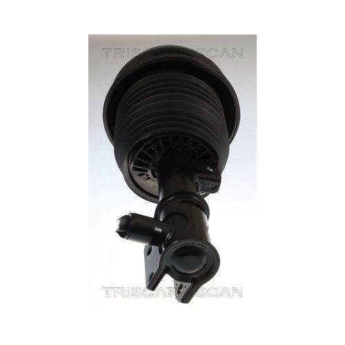 Fahrwerksfeder TRISCAN 8750 23112 f&uuml;r MERCEDES-BENZ, Hinterachse