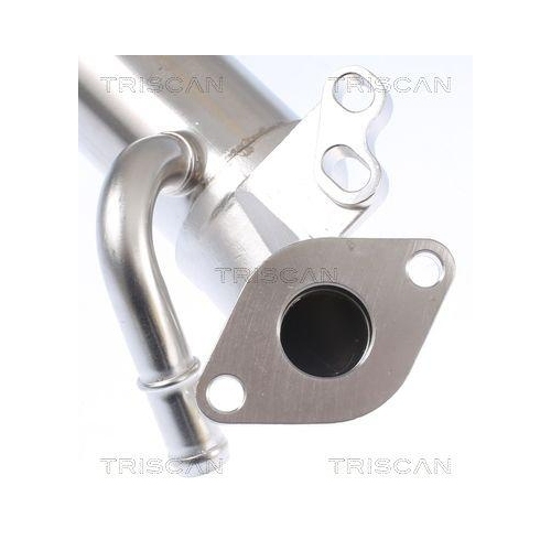 K&uuml;hler, Abgasr&uuml;ckf&uuml;hrung TRISCAN 8813 16110 f&uuml;r FORD