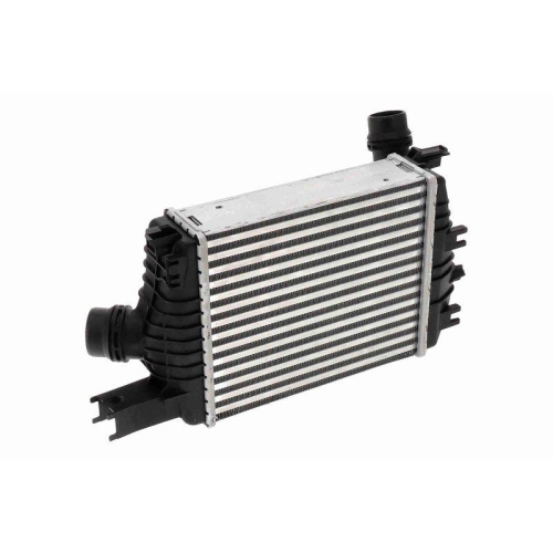Ladeluftk&uuml;hler VEMO V21-60-0005 Original VEMO Qualit&auml;t f&uuml;r RENAULT