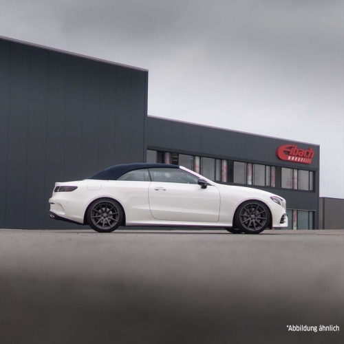 Fahrwerkssatz, Federn EIBACH E10-25-040-04-22 Pro-Kit f&uuml;r, Hinterachse