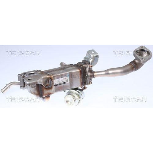 K&uuml;hler, Abgasr&uuml;ckf&uuml;hrung TRISCAN 8813 24105 f&uuml;r OPEL VAUXHALL CHEVROLET