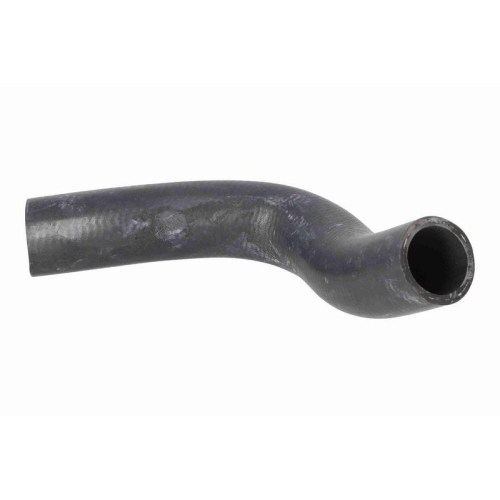 ACKOJA A70-1311 K&uuml;hlerschlauch Green Mobility Parts f&uuml;r TOYOTA, unten
