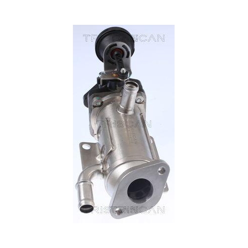 K&uuml;hler, Abgasr&uuml;ckf&uuml;hrung TRISCAN 8813 25101 f&uuml;r NISSAN OPEL RENAULT VAUXHALL