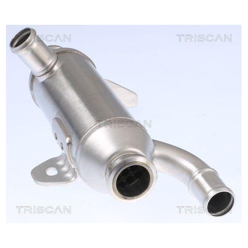 K&uuml;hler, Abgasr&uuml;ckf&uuml;hrung TRISCAN 8813 28101 f&uuml;r CITRO&Euml;N PEUGEOT