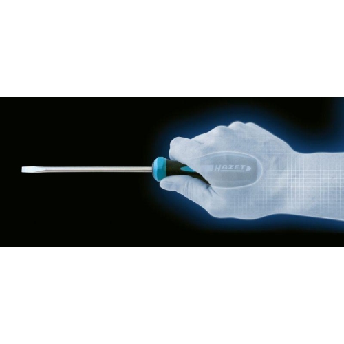 Schraubendreher HAZET 802-T40H für