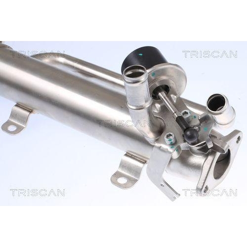 Kühler, Abgasrückführung TRISCAN 8813 29320 für AUDI SEAT SKODA VW HITACHI