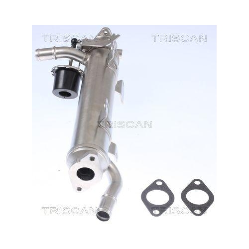 K&uuml;hler, Abgasr&uuml;ckf&uuml;hrung TRISCAN 8813 29322 f&uuml;r AUDI SEAT SKODA VW HITACHI