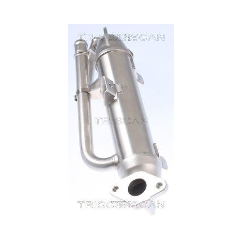 Kühler, Abgasrückführung TRISCAN 8813 29324 für AUDI SKODA VW HITACHI