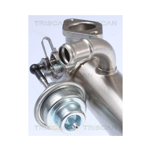 K&uuml;hler, Abgasr&uuml;ckf&uuml;hrung TRISCAN 8813 29326 f&uuml;r VW HITACHI