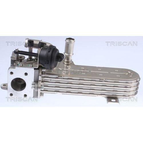 K&uuml;hler, Abgasr&uuml;ckf&uuml;hrung TRISCAN 8813 29328 f&uuml;r AUDI SEAT SKODA VW HITACHI