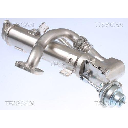 K&uuml;hler, Abgasr&uuml;ckf&uuml;hrung TRISCAN 8813 29329 f&uuml;r AUDI SEAT