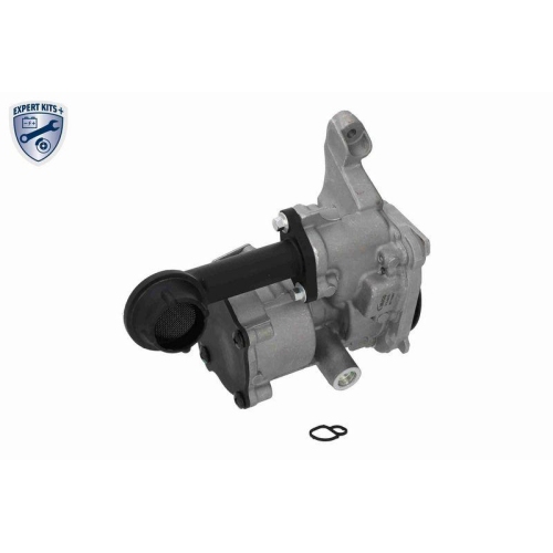 VAICO V10-000085 Kettensatz, &Ouml;lpumpenantrieb EXPERT KITS + f&uuml;r AUDI SEAT SKODA