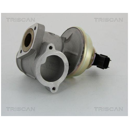 AGR-Ventil TRISCAN 8813 16102 f&uuml;r FORD