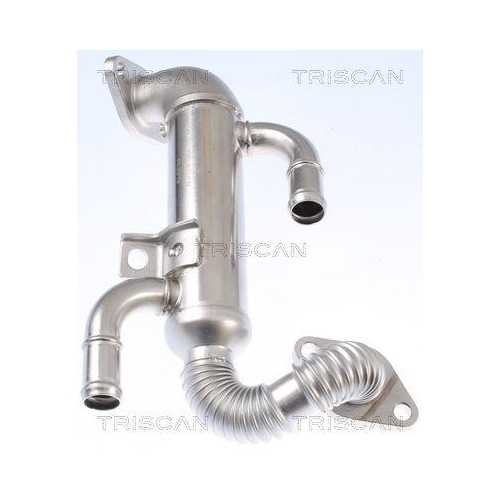 K&uuml;hler, Abgasr&uuml;ckf&uuml;hrung TRISCAN 8813 29332 f&uuml;r SEAT SKODA VW HITACHI