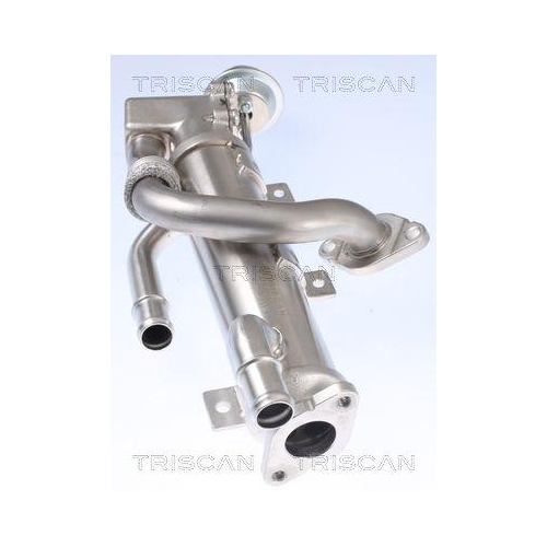 Kühler, Abgasrückführung TRISCAN 8813 29333 für AUDI HITACHI