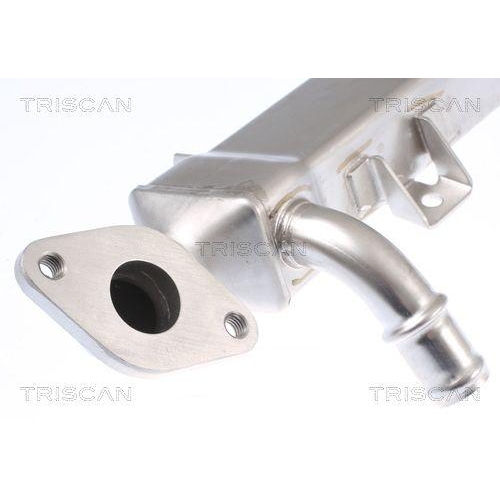 Kühler, Abgasrückführung TRISCAN 8813 29334 für FORD SEAT VW HITACHI