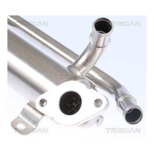 K&uuml;hler, Abgasr&uuml;ckf&uuml;hrung TRISCAN 8813 29335 f&uuml;r AUDI SEAT SKODA VW