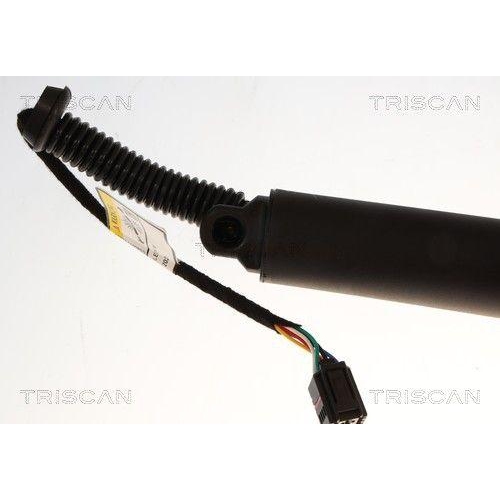 TRISCAN 8710 29339 Gasfeder, Koffer-/Laderaum f&uuml;r CUPRA, links, rechts