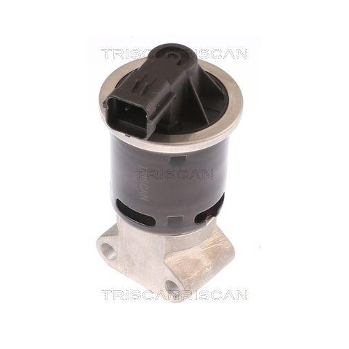 AGR-Ventil TRISCAN 8813 21100 f&uuml;r CHEVROLET DAEWOO