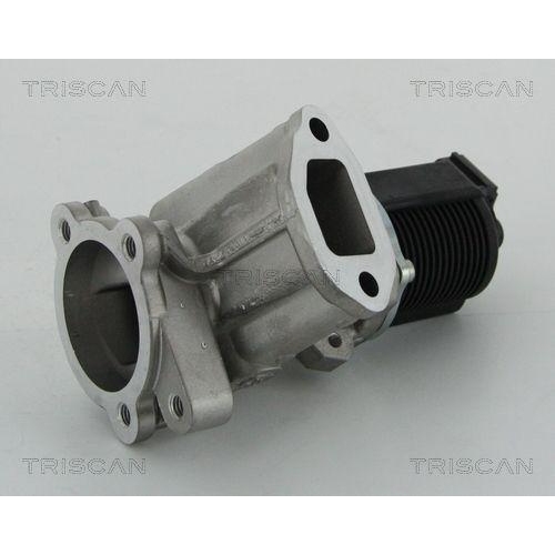 AGR-Ventil TRISCAN 8813 24204 f&uuml;r OPEL SUZUKI VAUXHALL