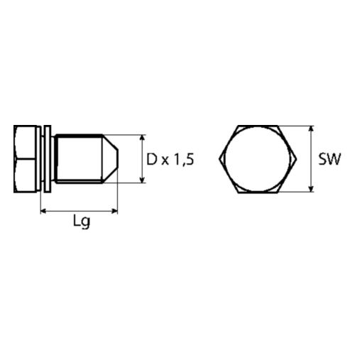 SWG 243 001 007 16 Verschlussschraube, &Ouml;lwanne f&uuml;r AUDI CHRYSLER DODGE FORD SEAT