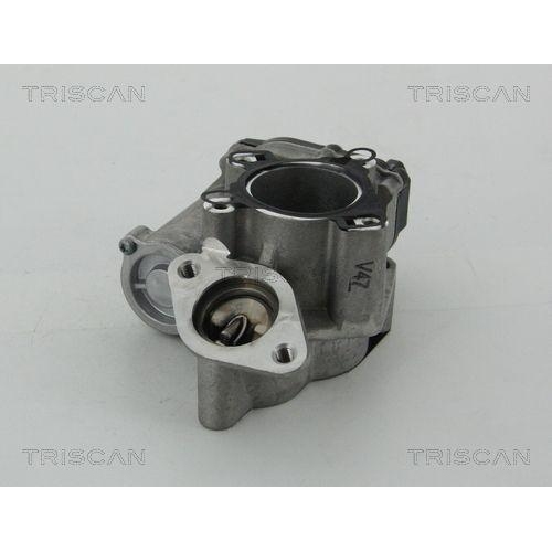 AGR-Ventil TRISCAN 8813 25203 f&uuml;r RENAULT