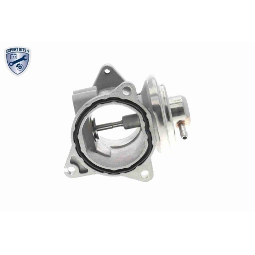 AGR-Ventil VEMO V10-63-0011-1 EXPERT KITS + f&uuml;r AUDI CHRYSLER DODGE MITSUBISHI
