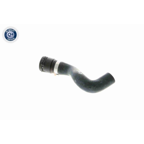 K&uuml;hlerschlauch VAICO V20-1771 Q+, Erstausr&uuml;sterqualit&auml;t f&uuml;r BMW, Auslassseite