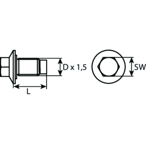 SWG 243 001 017 16 Verschlussschraube, &Ouml;lwanne f&uuml;r CITRO&Euml;N FORD JAGUAR MAZDA