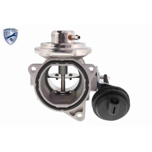 AGR-Ventil VEMO V10-63-0021-1 EXPERT KITS + f&uuml;r AUDI SEAT SKODA VW VAG