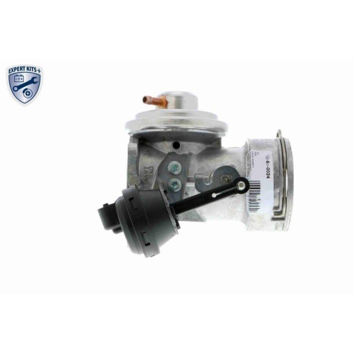 AGR-Ventil VEMO V10-63-0024 EXPERT KITS + f&uuml;r AUDI SEAT SKODA VW VAG