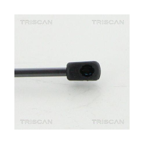 Gasfeder, Koffer-/Laderaum TRISCAN 8710 69227 f&uuml;r