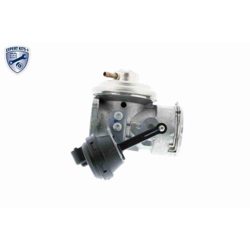 AGR-Ventil VEMO V10-63-0027 EXPERT KITS + für AUDI SEAT SKODA VW VAG