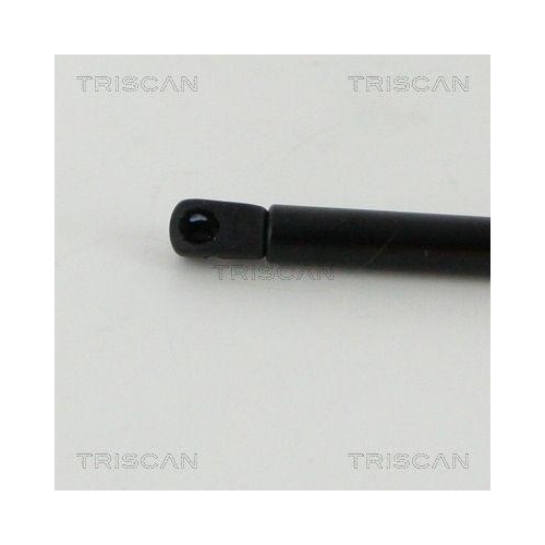 Gasfeder, Koffer-/Laderaum TRISCAN 8710 112012 f&uuml;r