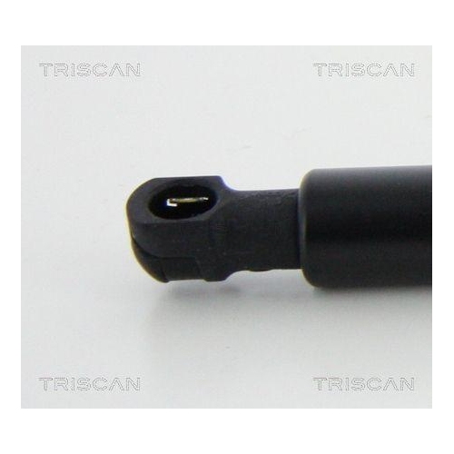 Gasfeder, Koffer-/Laderaum TRISCAN 8710 11240 für BMW, hinten links