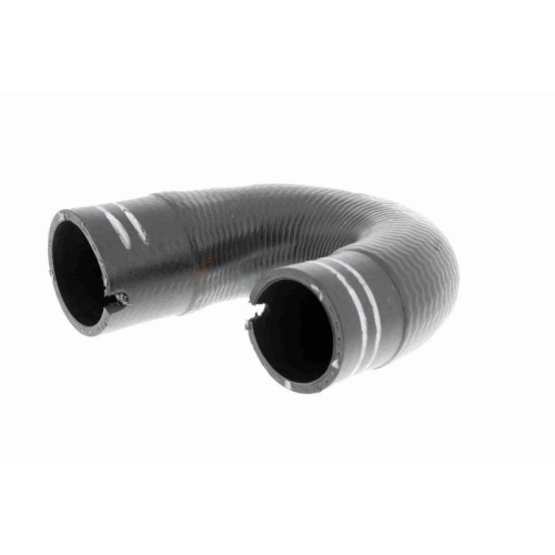 Ladeluftschlauch VAICO V24-0804 Q+, Erstausrüsterqualität für FIAT