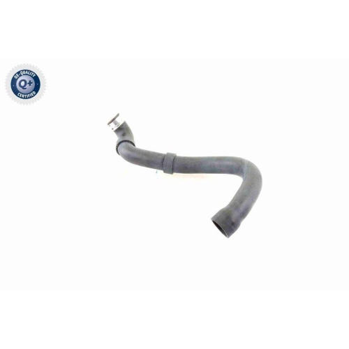 Kühlerschlauch VAICO V30-1661 Q+, Erstausrüsterqualität für MERCEDES-BENZ, unten