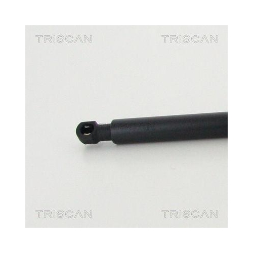 Gasfeder, Koffer-/Laderaum TRISCAN 8710 11244 f&uuml;r BMW, hinten links