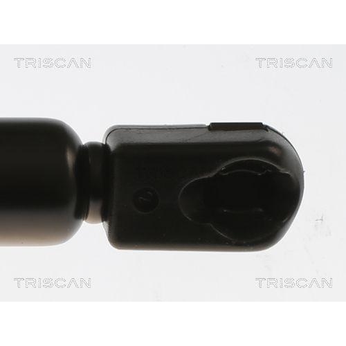 Gasfeder, Koffer-/Laderaum TRISCAN 8710 11362 f&uuml;r BMW, hinten links