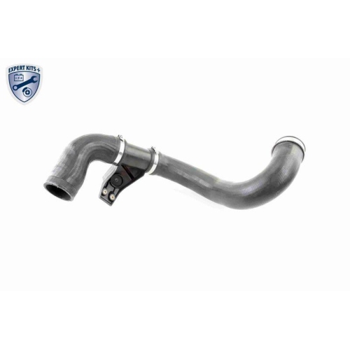 Ladeluftschlauch VAICO V30-2420 EXPERT KITS + f&uuml;r CHRYSLER DODGE MERCEDES-BENZ